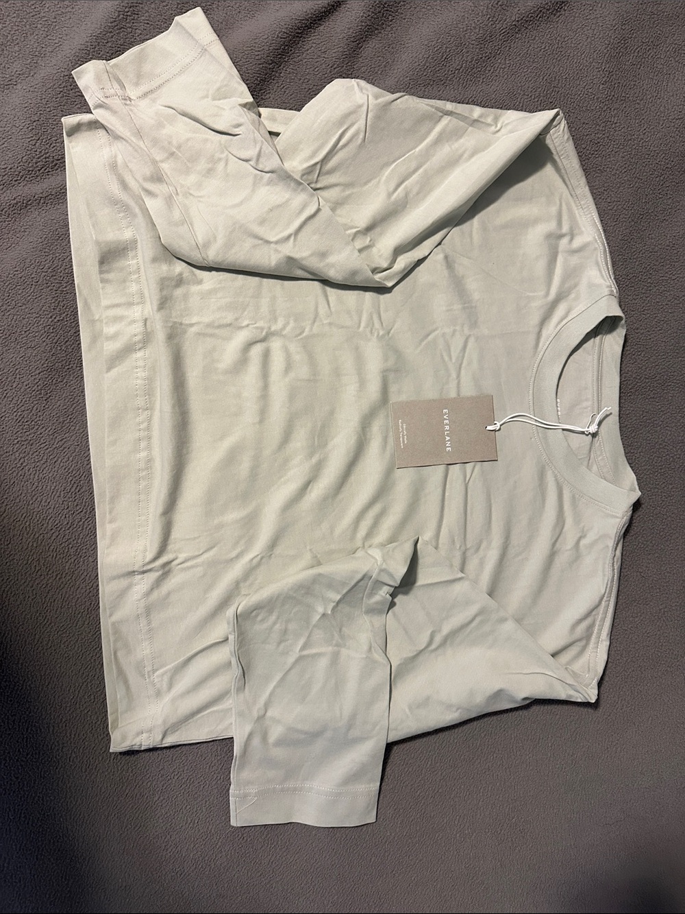 Everlane Women's Long Sleeve Crew in Light Sage Green